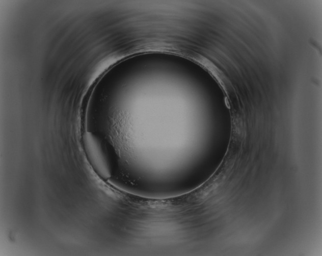 X0000093361147200710191052