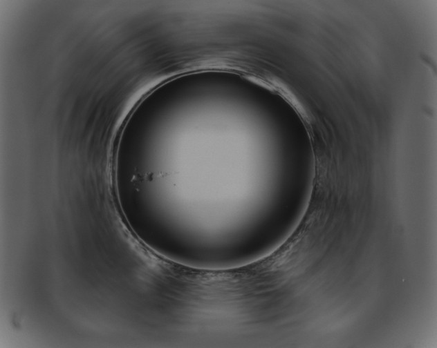 X0000093361148200710191052