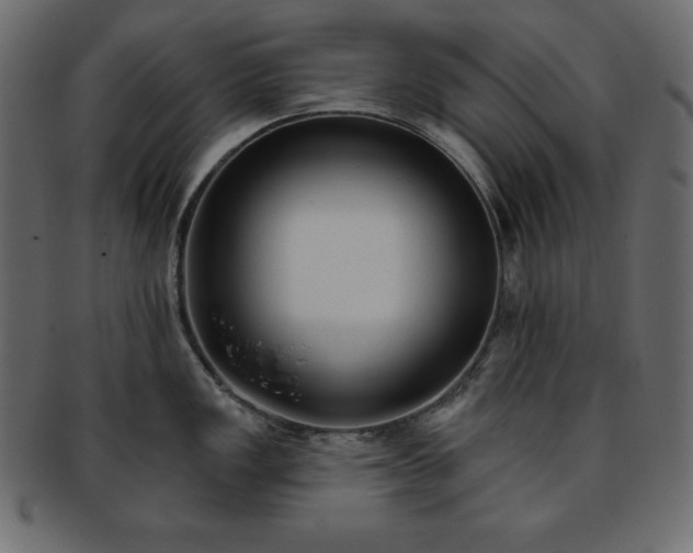 X0000093361149200710191052