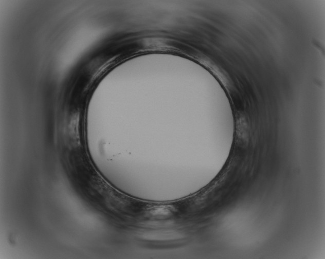 X0000093361150200710191052