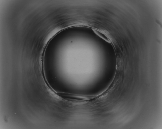 X0000093361151200710191052