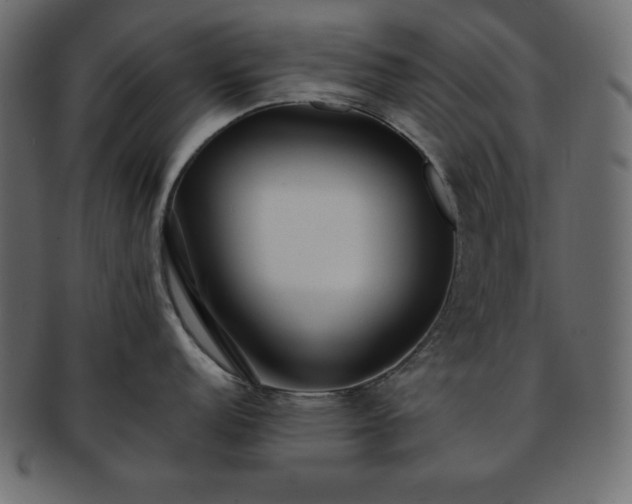 X0000093361152200710191052