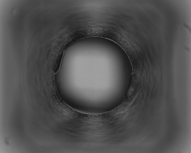 X0000093361153200710191052
