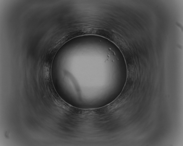 X0000093361154200710191052