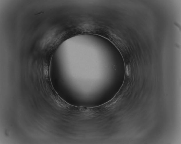 X0000093361155200710191052