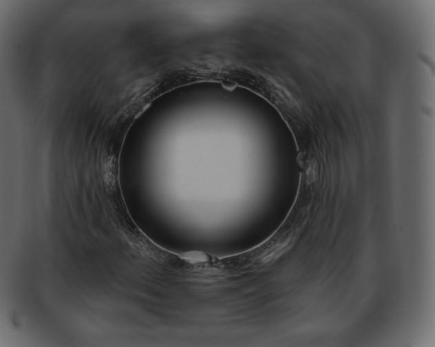 X0000093361156200710191052