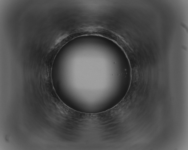X0000093361158200710191051