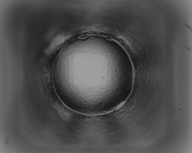 X0000093361159200710191051