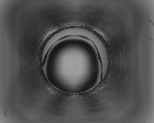 X0000093361160200710191051