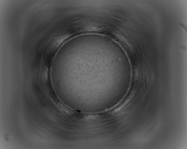 X0000093361161200710191051