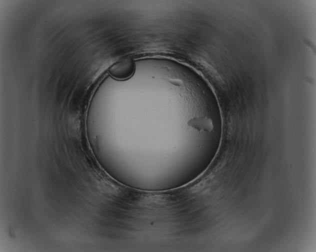 X0000093361162200710191051