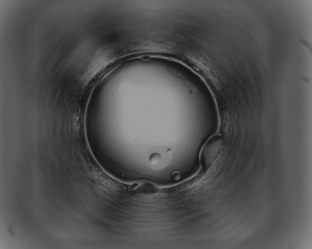 X0000093361163200710191051