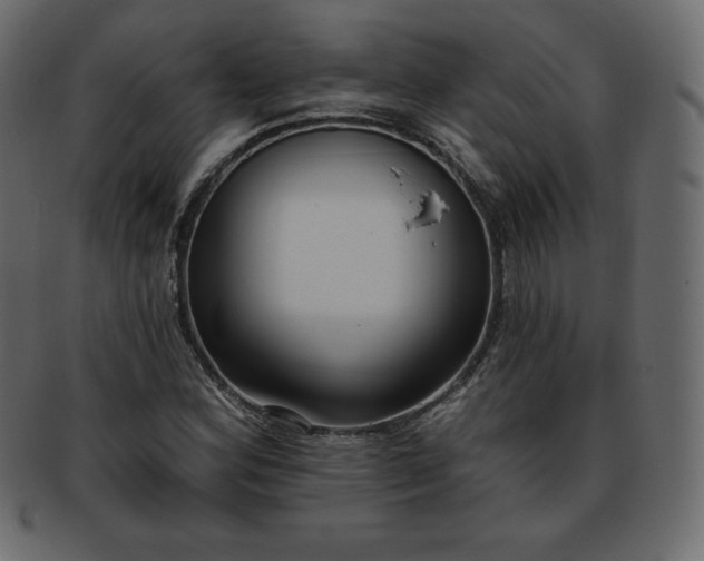 X0000093361164200710191051