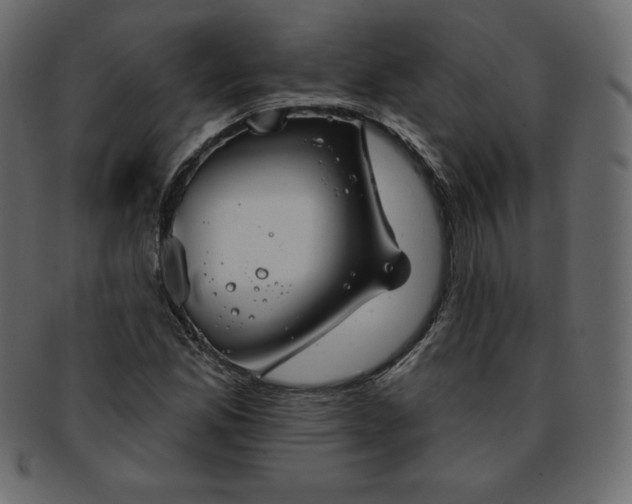 X0000093361165200710191051