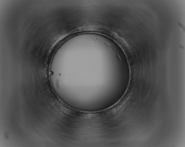 X0000093361166200710191051