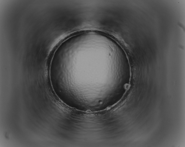 X0000093361167200710191051
