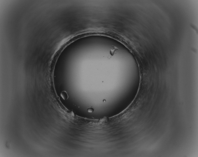 X0000093361168200710191051
