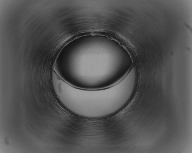 X0000093361169200710191051