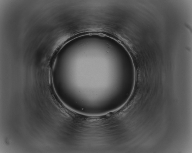 X0000093361171200710191051