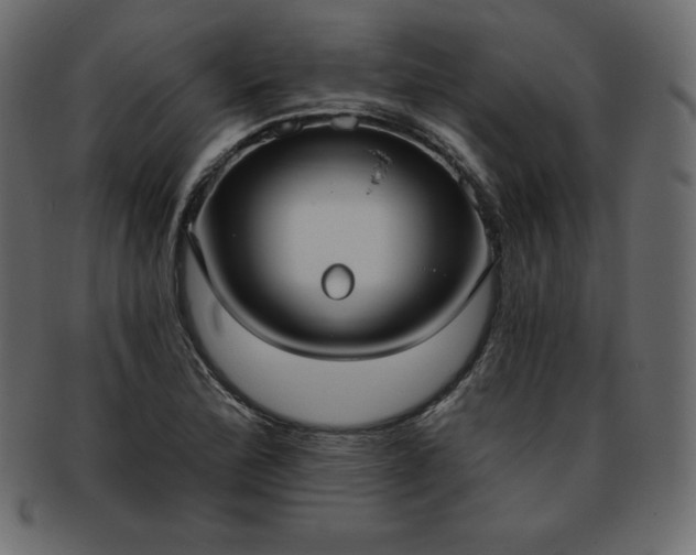 X0000093361172200710191051