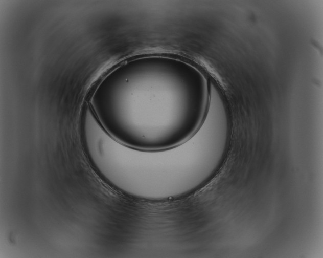 X0000093361173200710191051