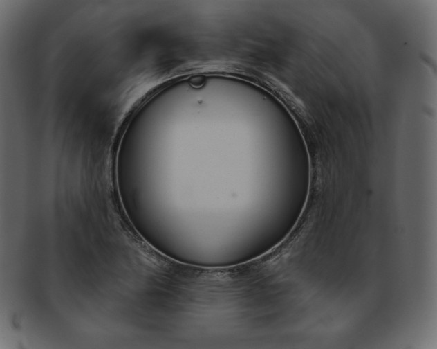 X0000093361174200710191051
