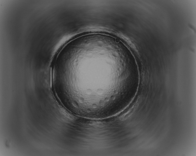X0000093361175200710191051