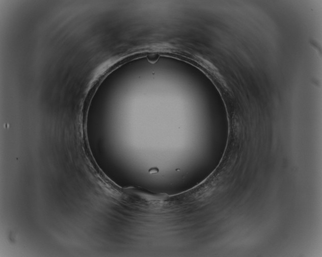 X0000093361176200710191051