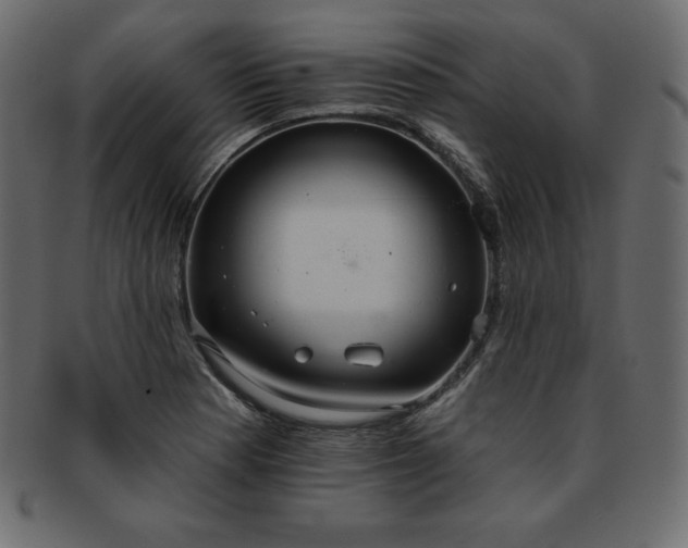 X0000093361177200710191051