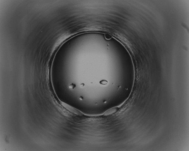 X0000093361179200710191051