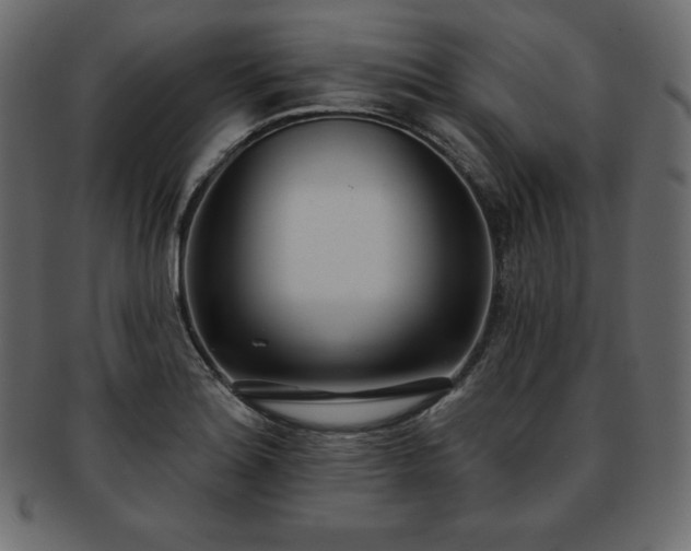 X0000093361180200710191051