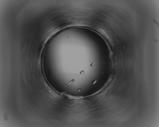 X0000093361181200710191051