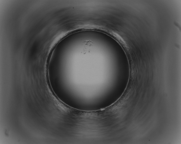 X0000093361183200710191051