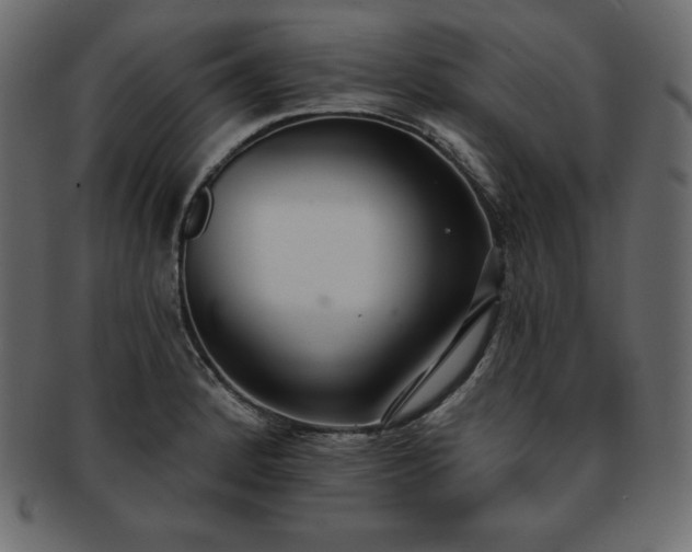 X0000093361184200710191051