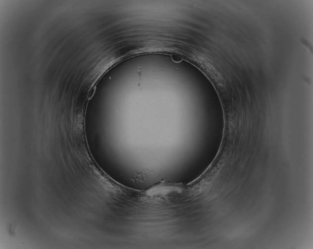 X0000093361185200710191051