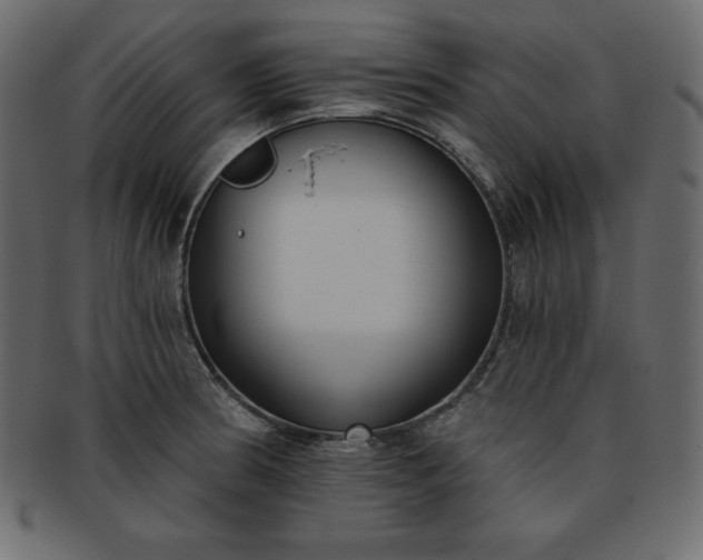 X0000093361186200710191051
