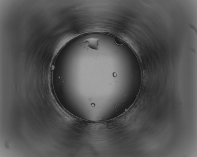X0000093361187200710191051