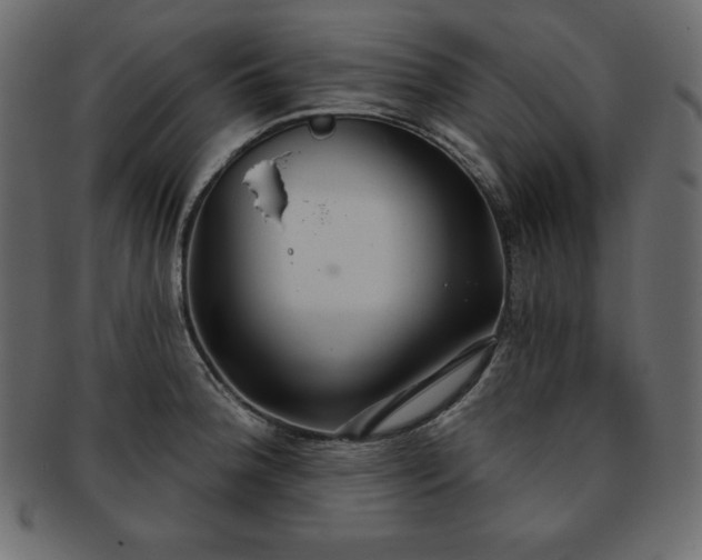 X0000093361188200710191051