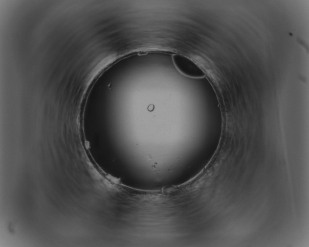 X0000093361189200710191051