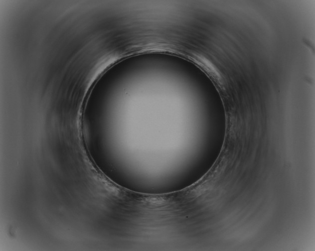 X0000093361190200710191051