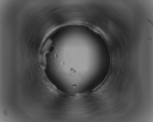 X0000093361192200710191051