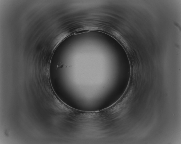 X0000093361193200710191051