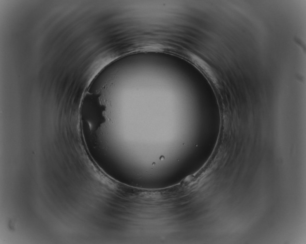 X0000093361194200710191051