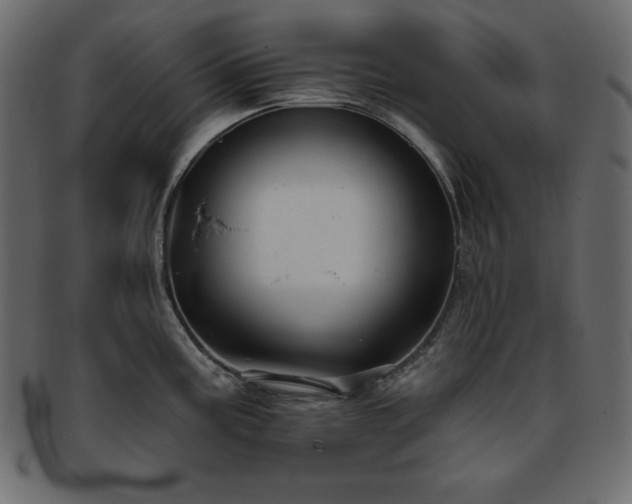 X0000093361195200710191051