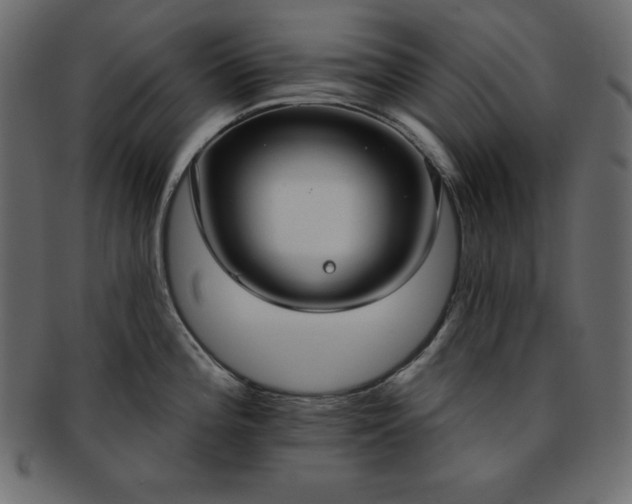 X0000093361196200710191051