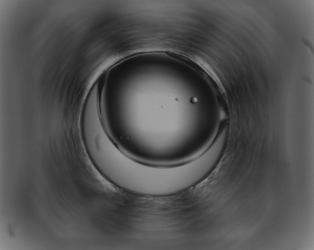 X0000093361197200710191051