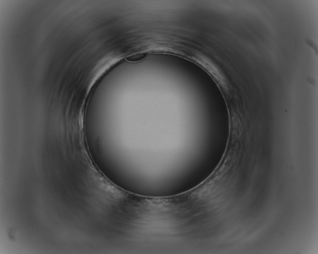 X0000093361198200710191051
