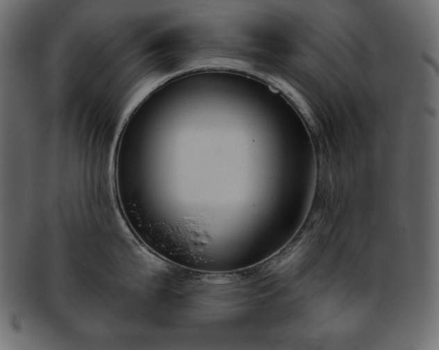 X0000093361199200710191051
