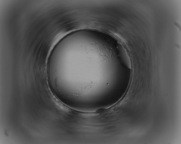 X0000093361200200710191051
