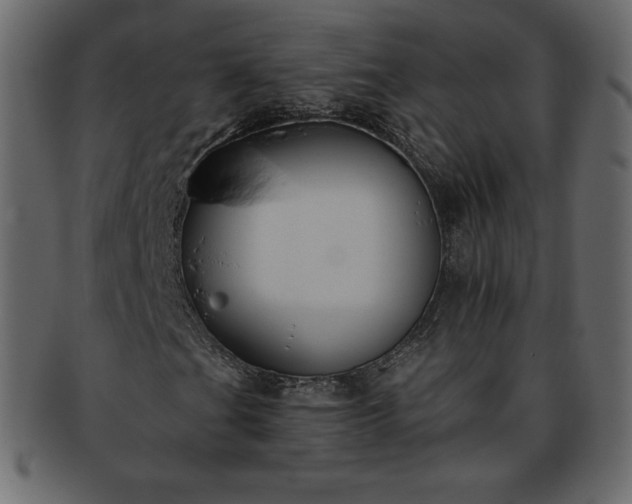 X0000093361201200710191050